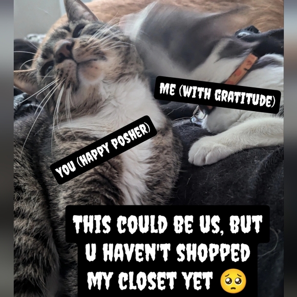 Disabled Posher 💪 - Picture 2 of 4